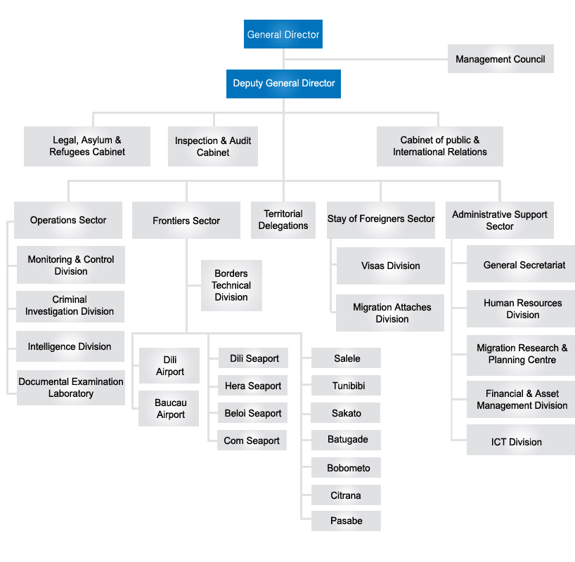 Organizational Chart