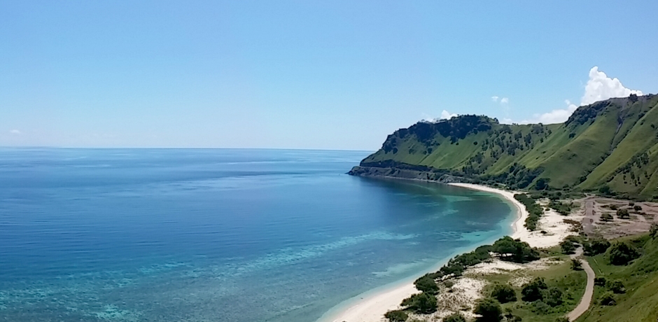 dili